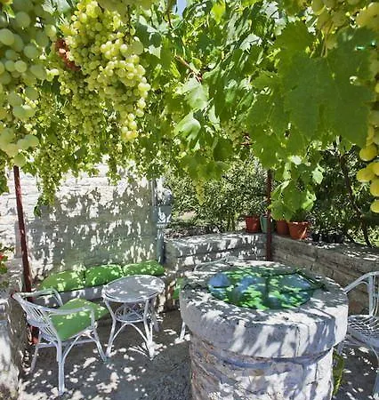 Villa Casa Atilio & Ana Višnjan